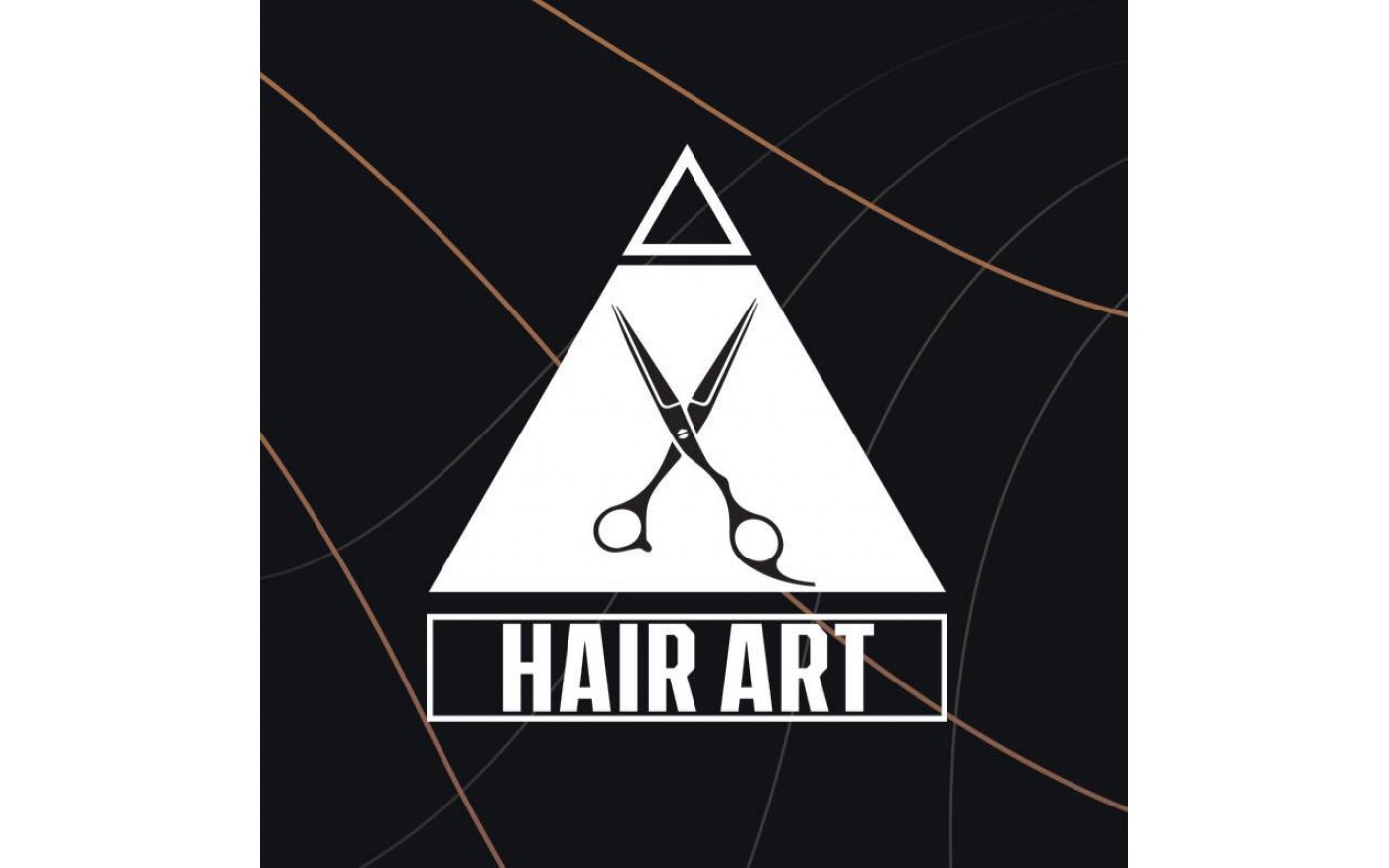 Hair Art Salon (天水圍)